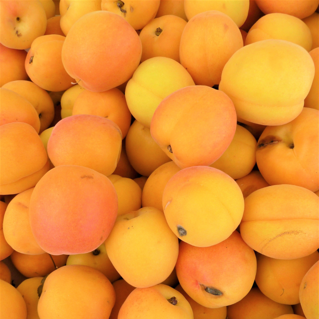 Apricots