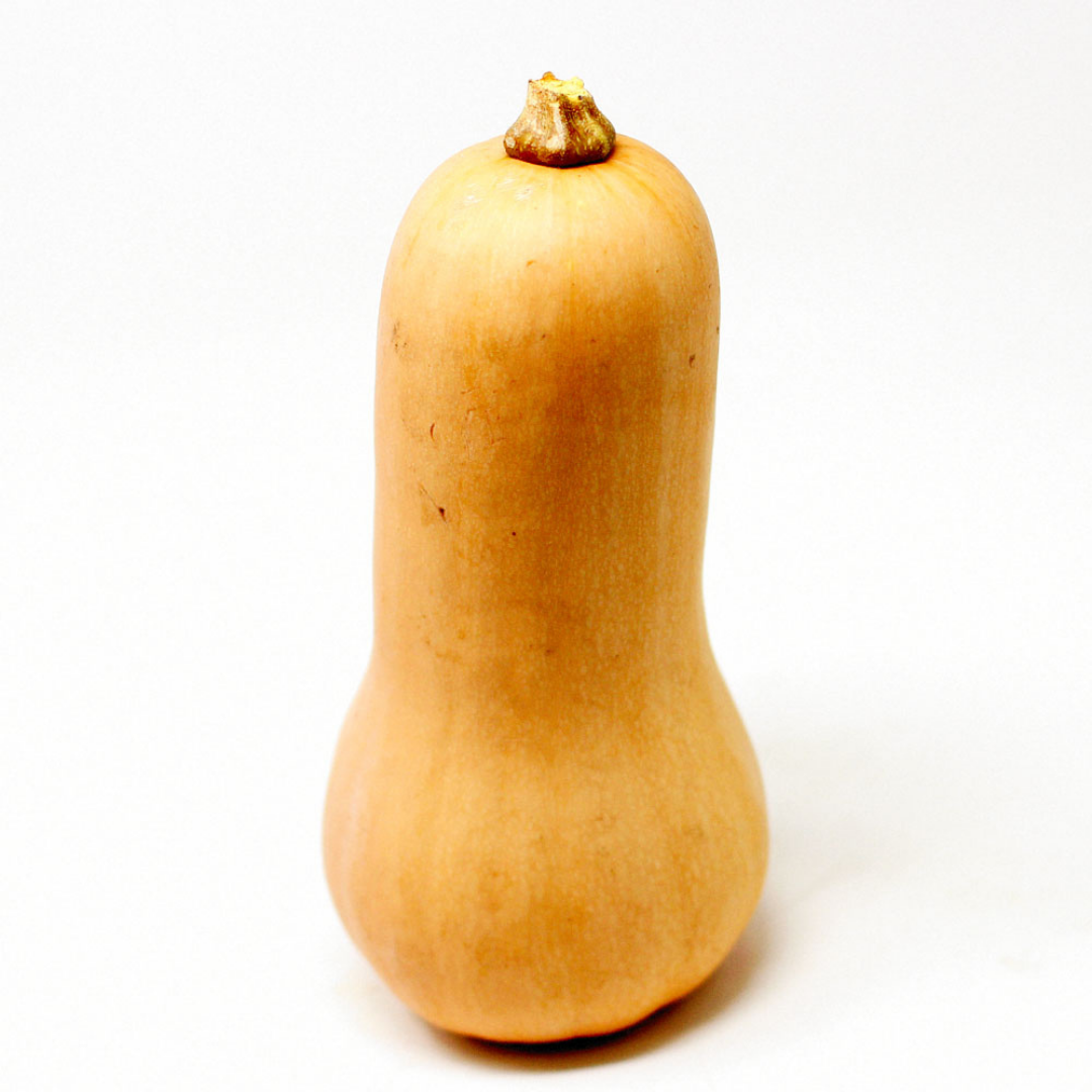 Butternut