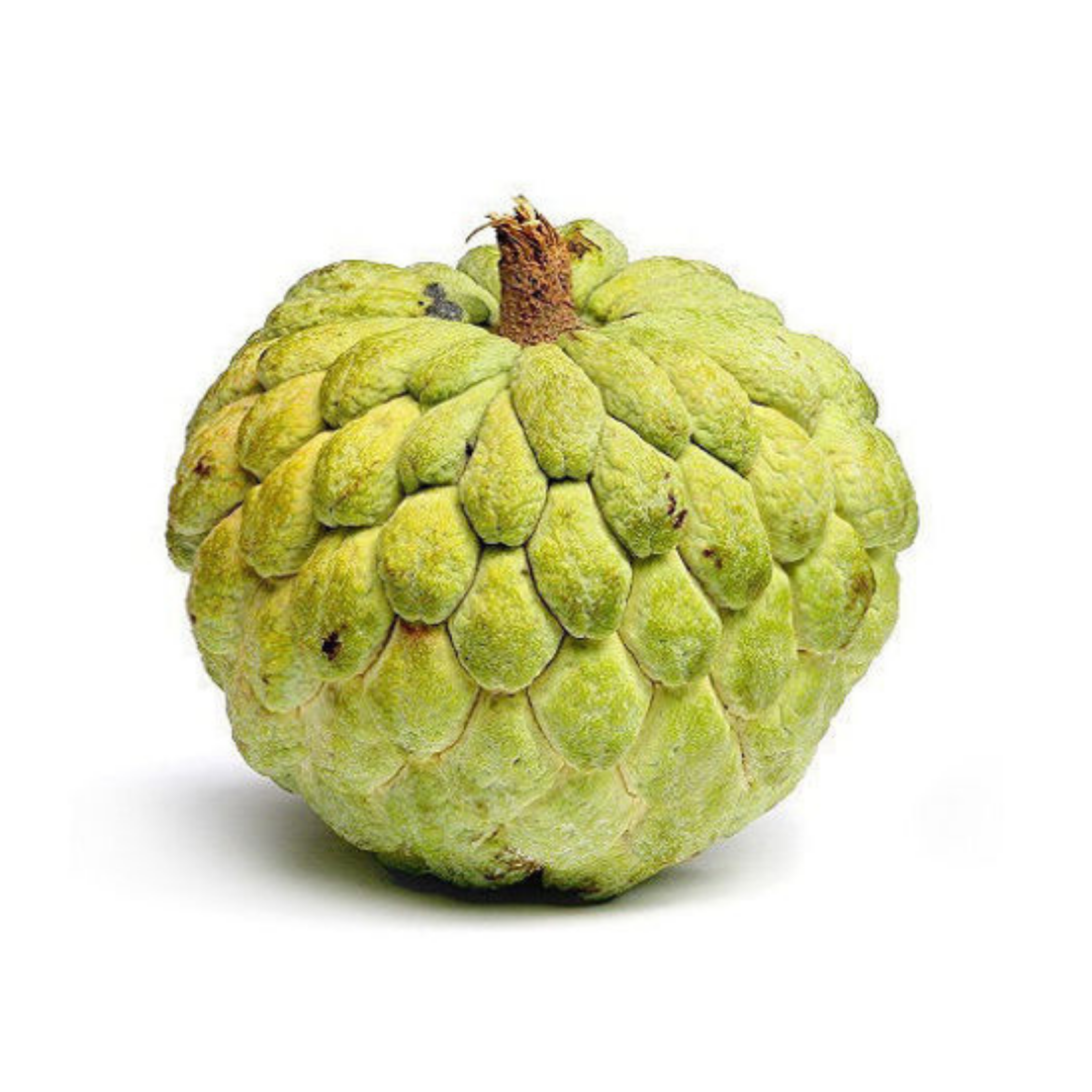 Custard Apple