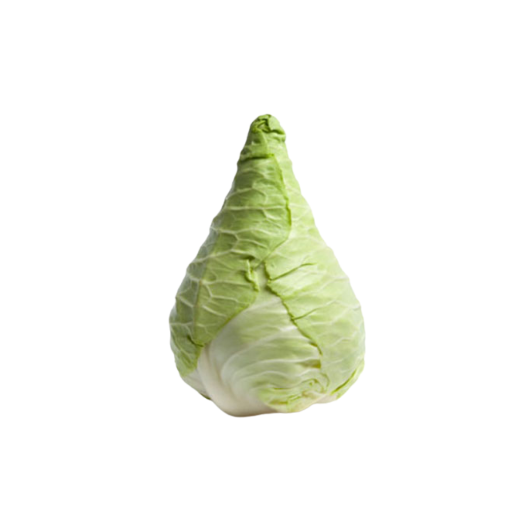 Hispi Cabbage