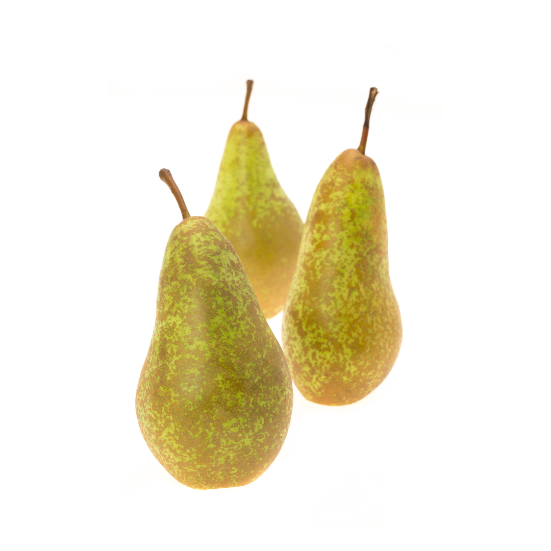 Conference Pear