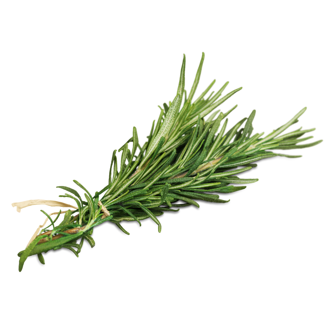 Rosemary (50g)