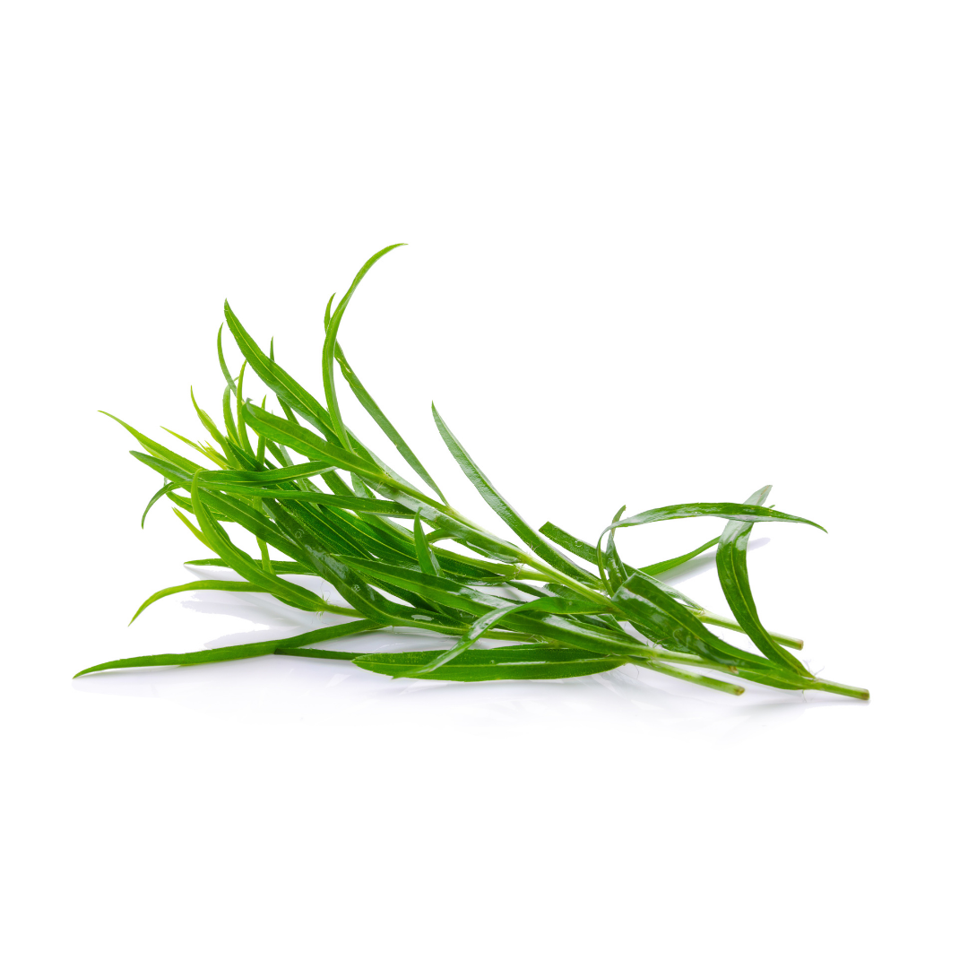 Tarragon (50g)