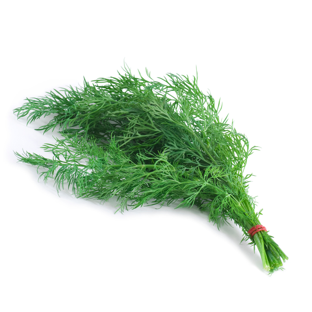 Dill (50g)