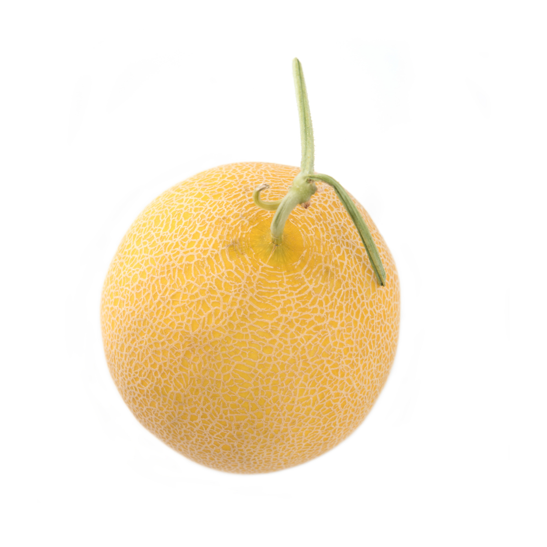 Galia Melon