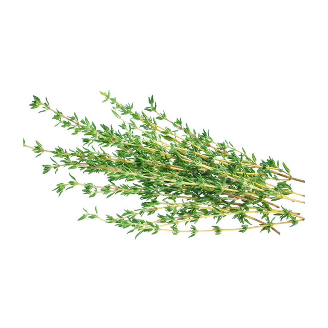 Thyme