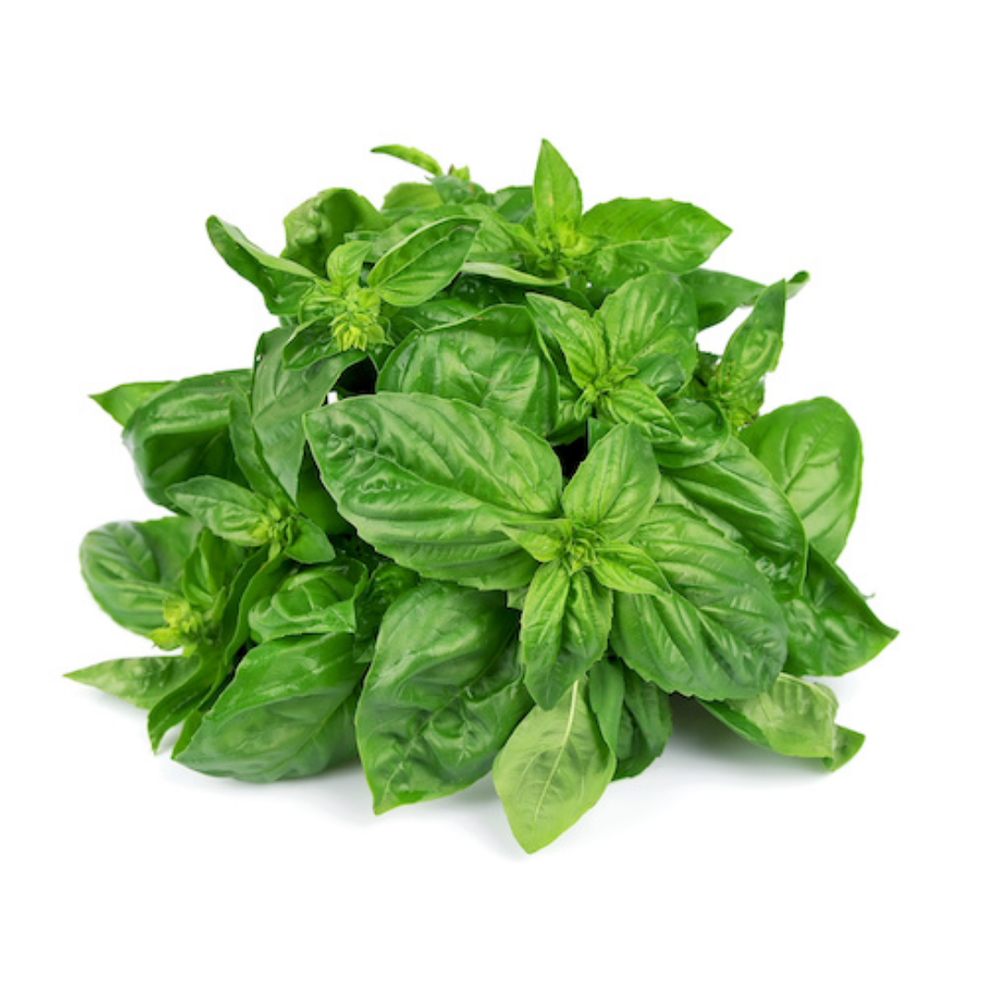 basil