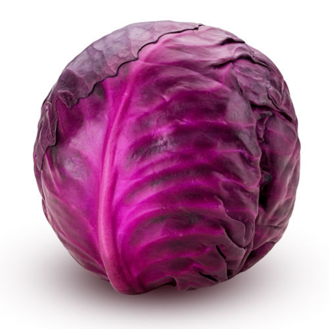 Cabbage