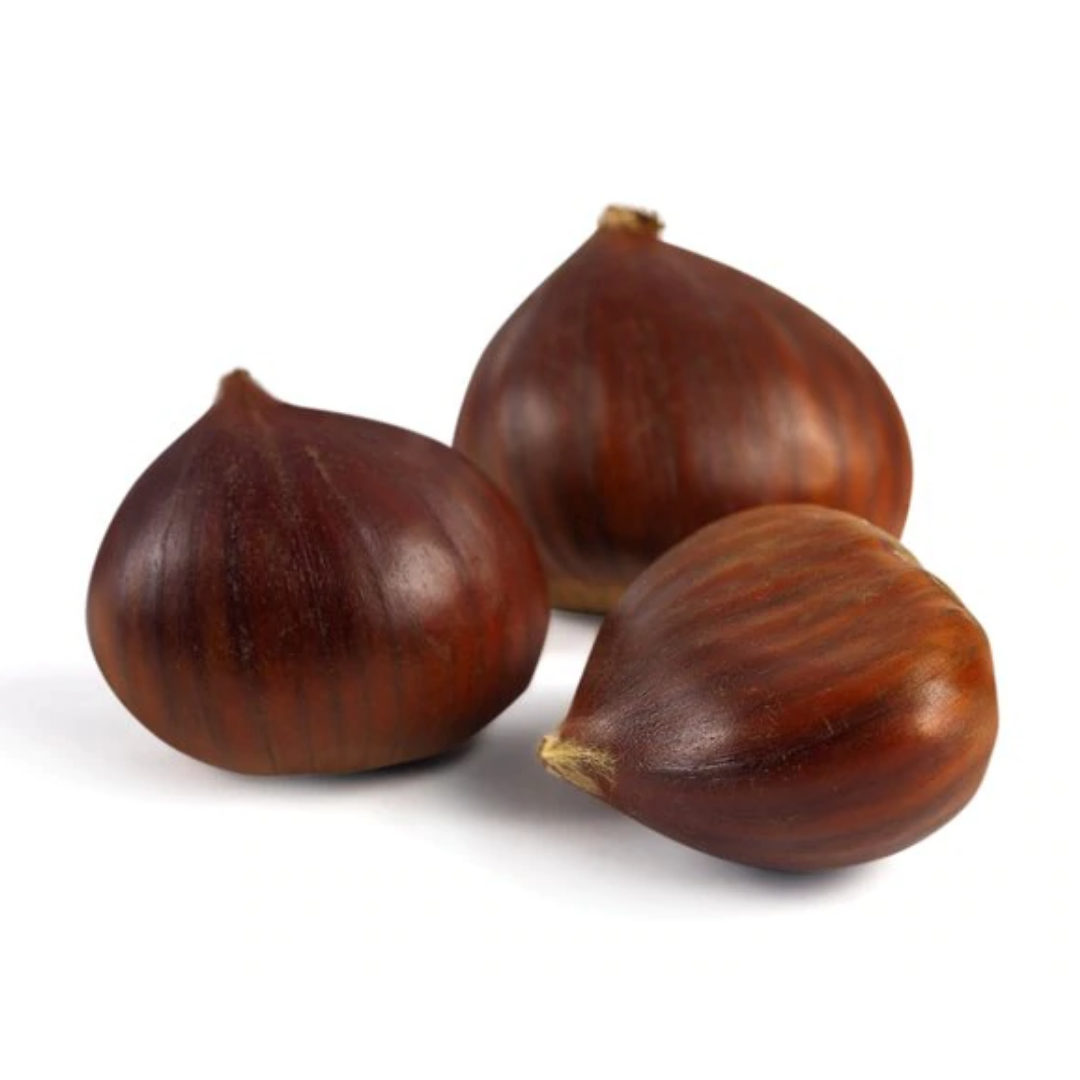 chestnut