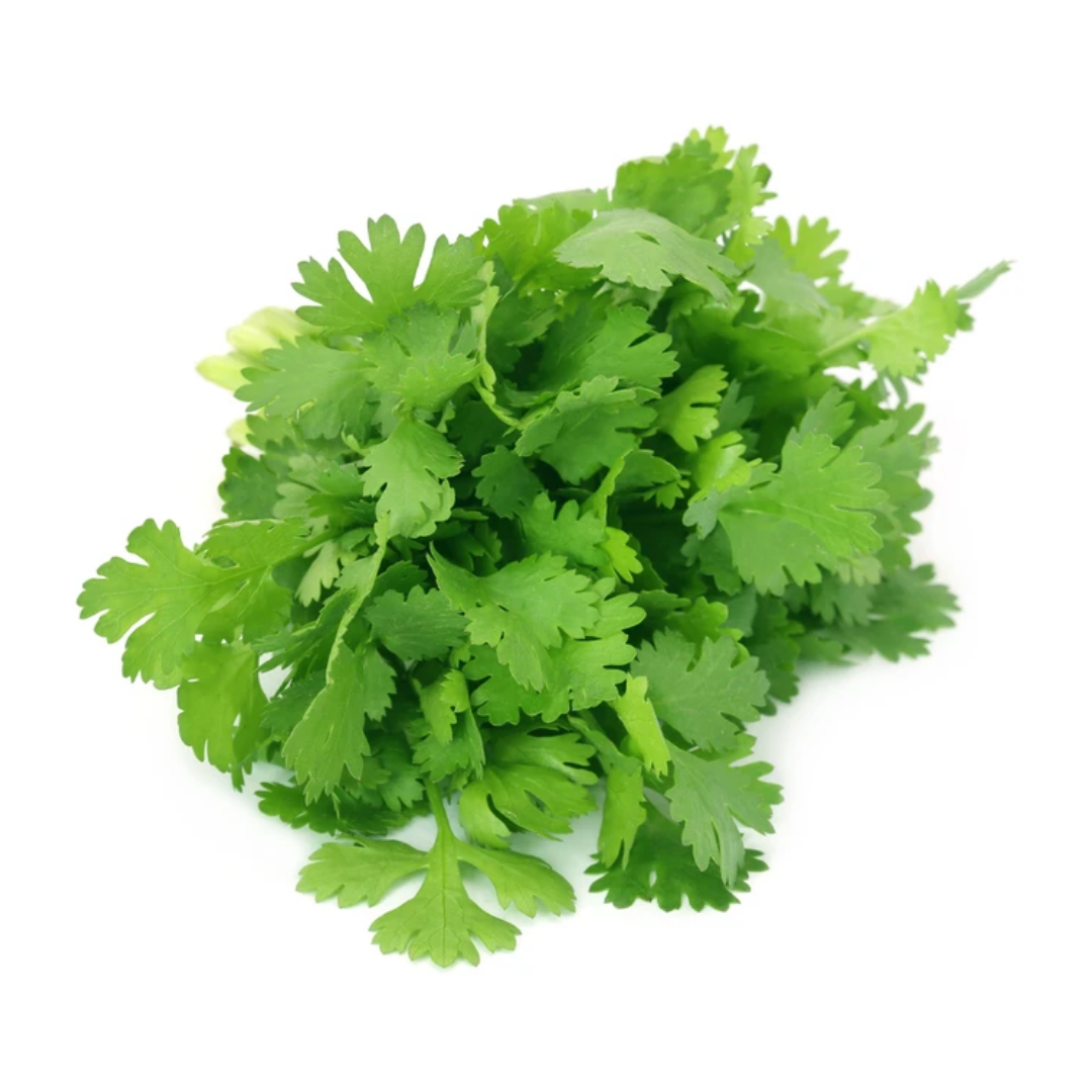 Coriander (bunch)