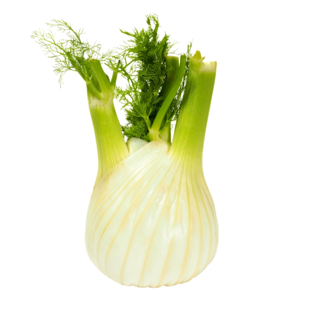 Fennel