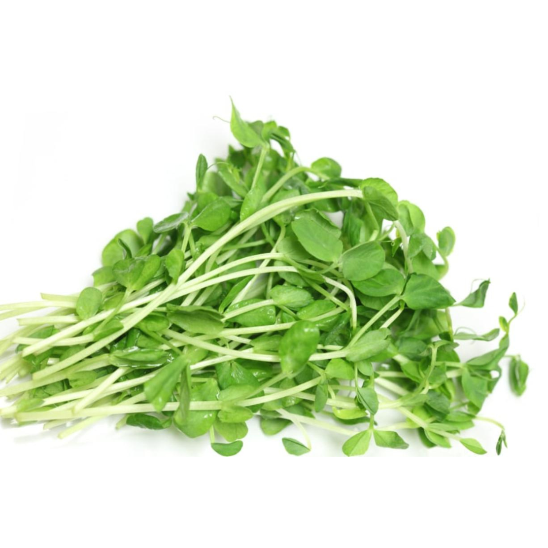 Pea Shoots (punnet)