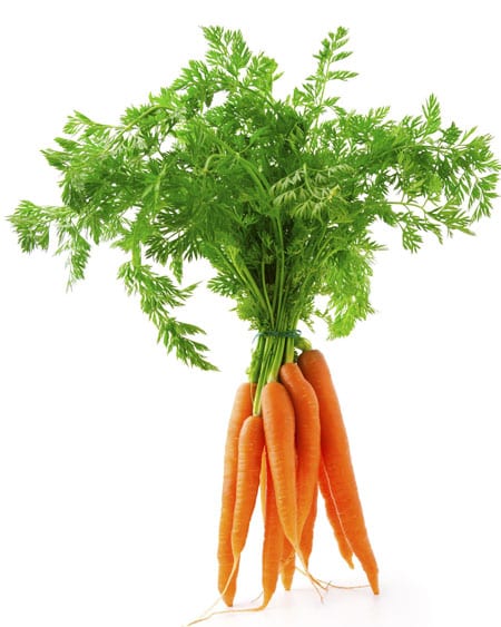 Carrots (bunch)