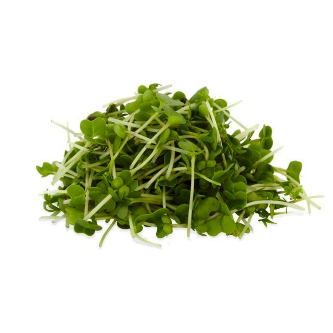 Salad Cress