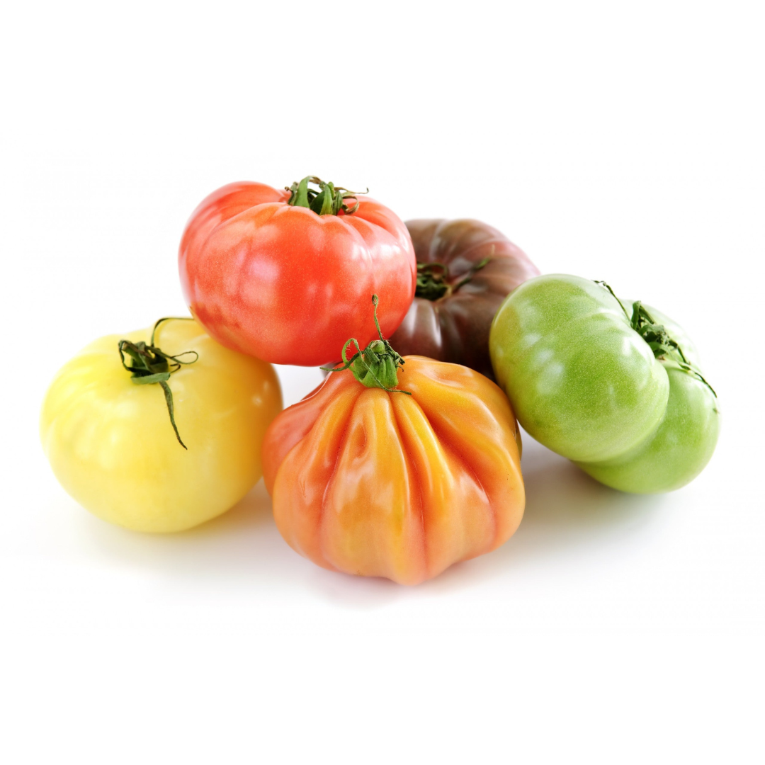 Heritage Tomatoes Green Tomato Midlands heritage-tomatoes-green-tomato-midlands