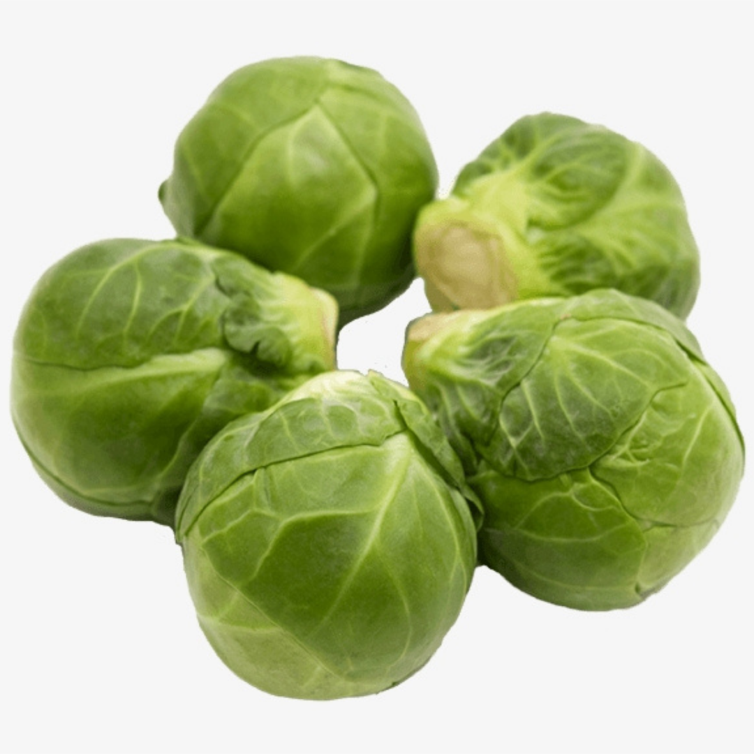 brussel sprout